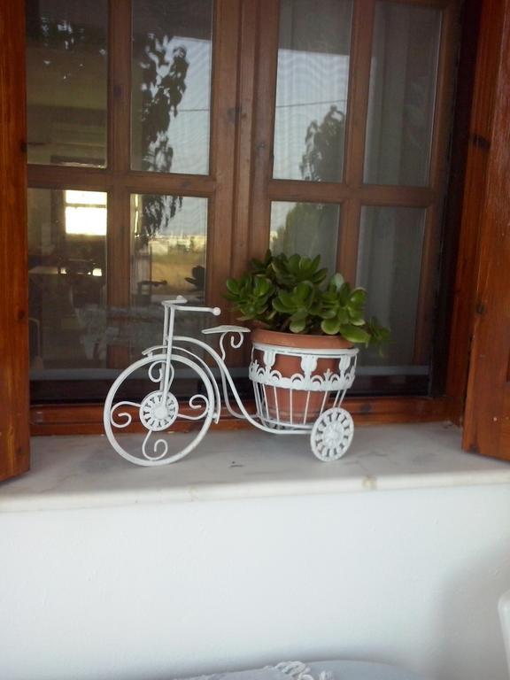 Athena'S Houses İskiri Dış mekan fotoğraf