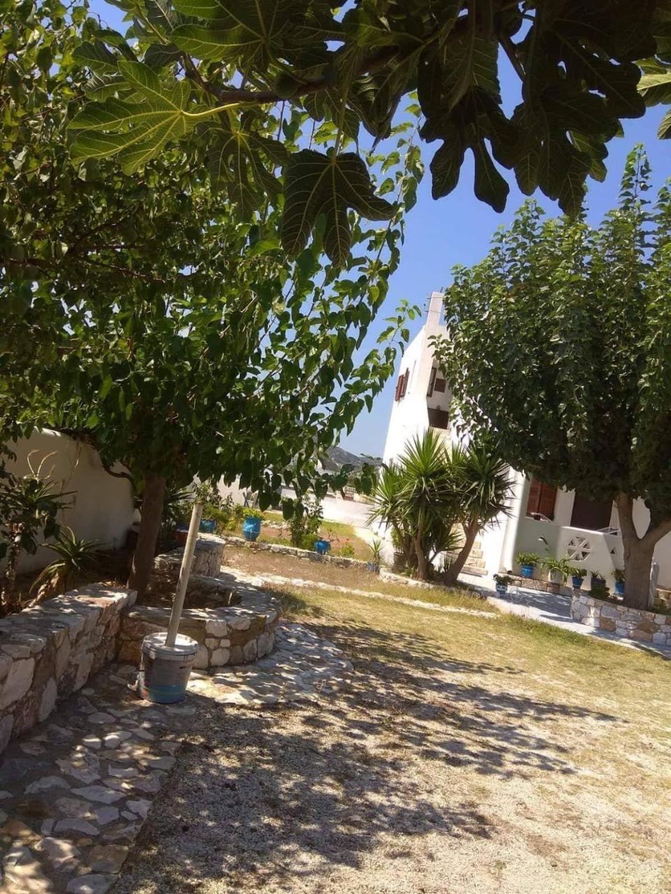 Athena'S Houses İskiri Dış mekan fotoğraf