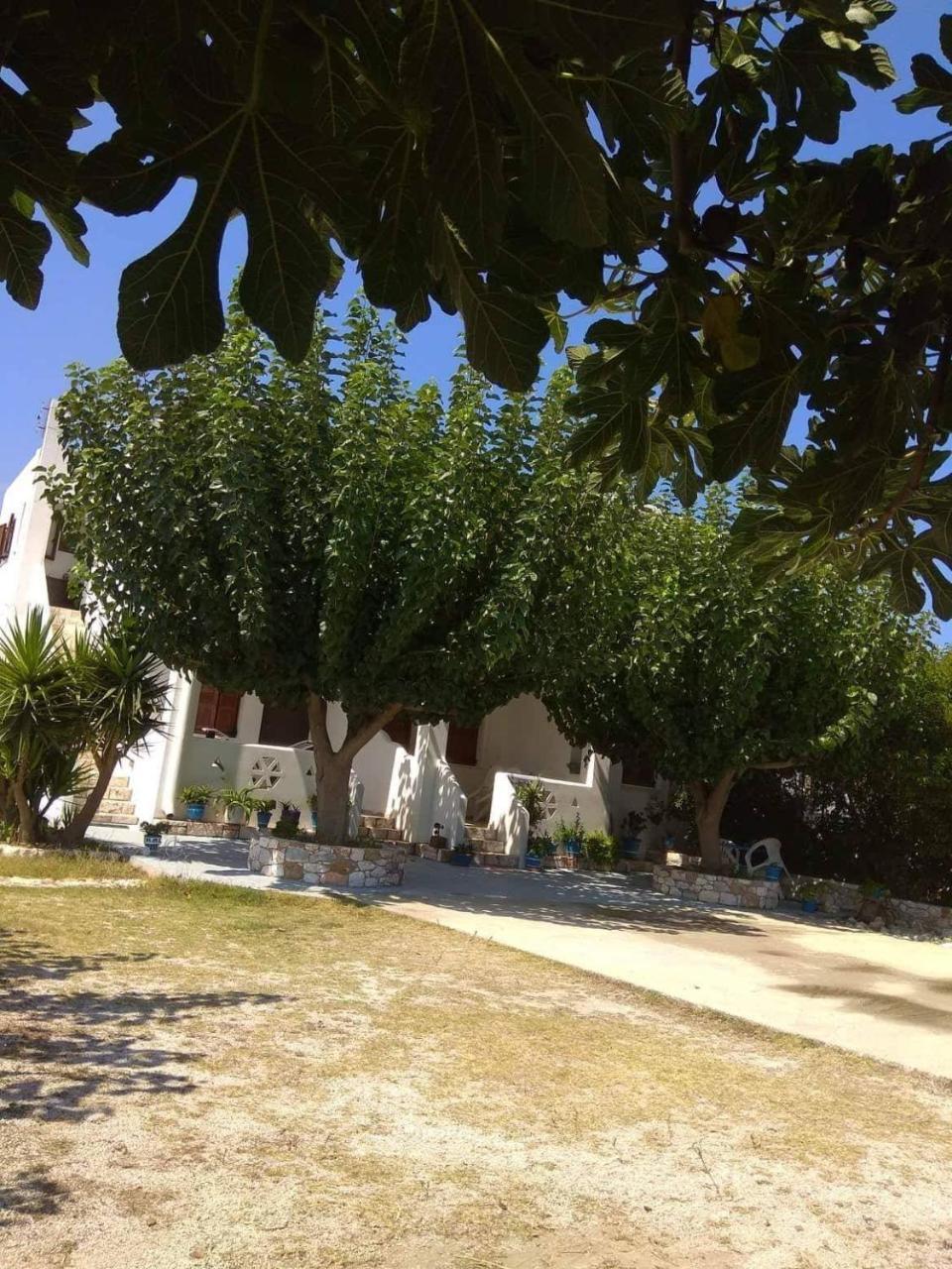 Athena'S Houses İskiri Dış mekan fotoğraf